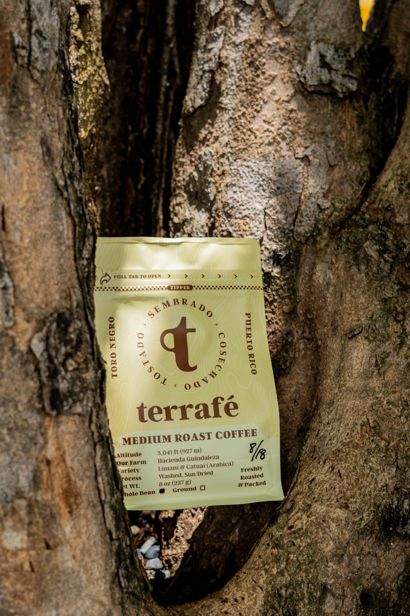 Terrafé Medium Roast Coffee