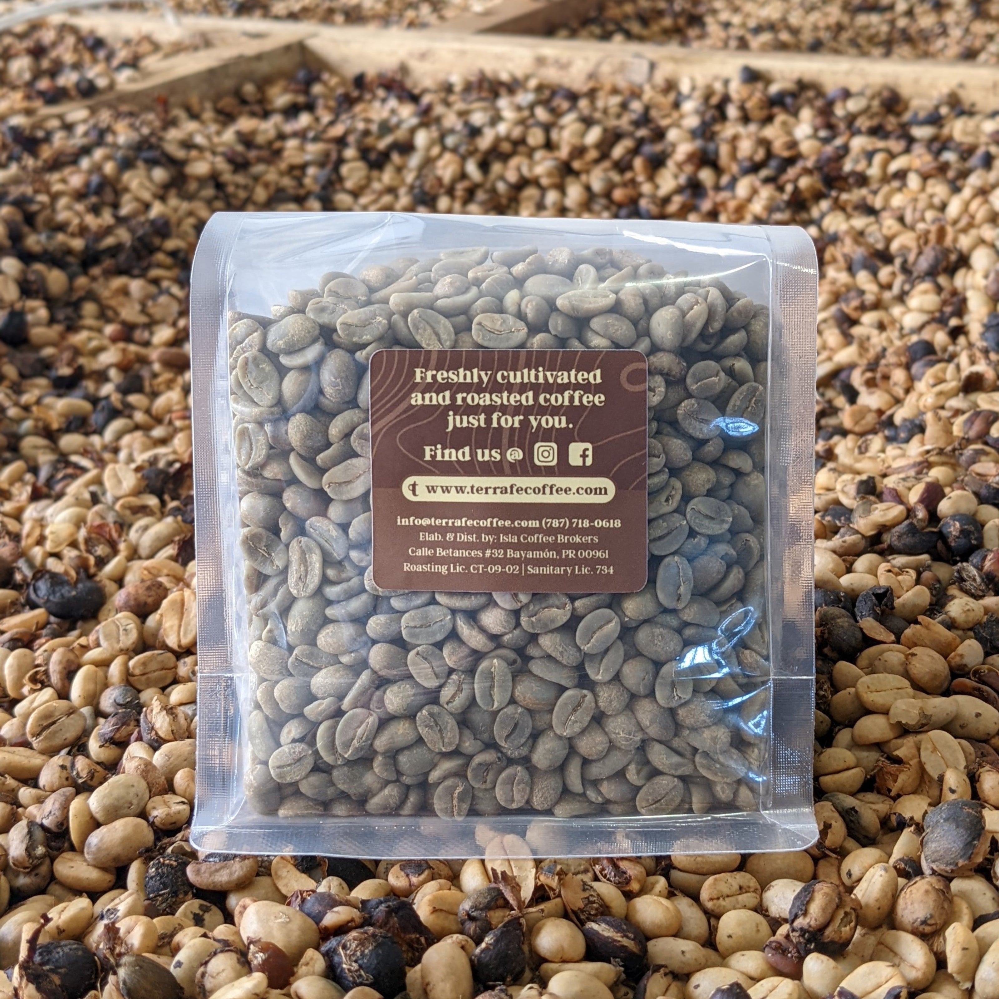 Green Honey Process Coffee